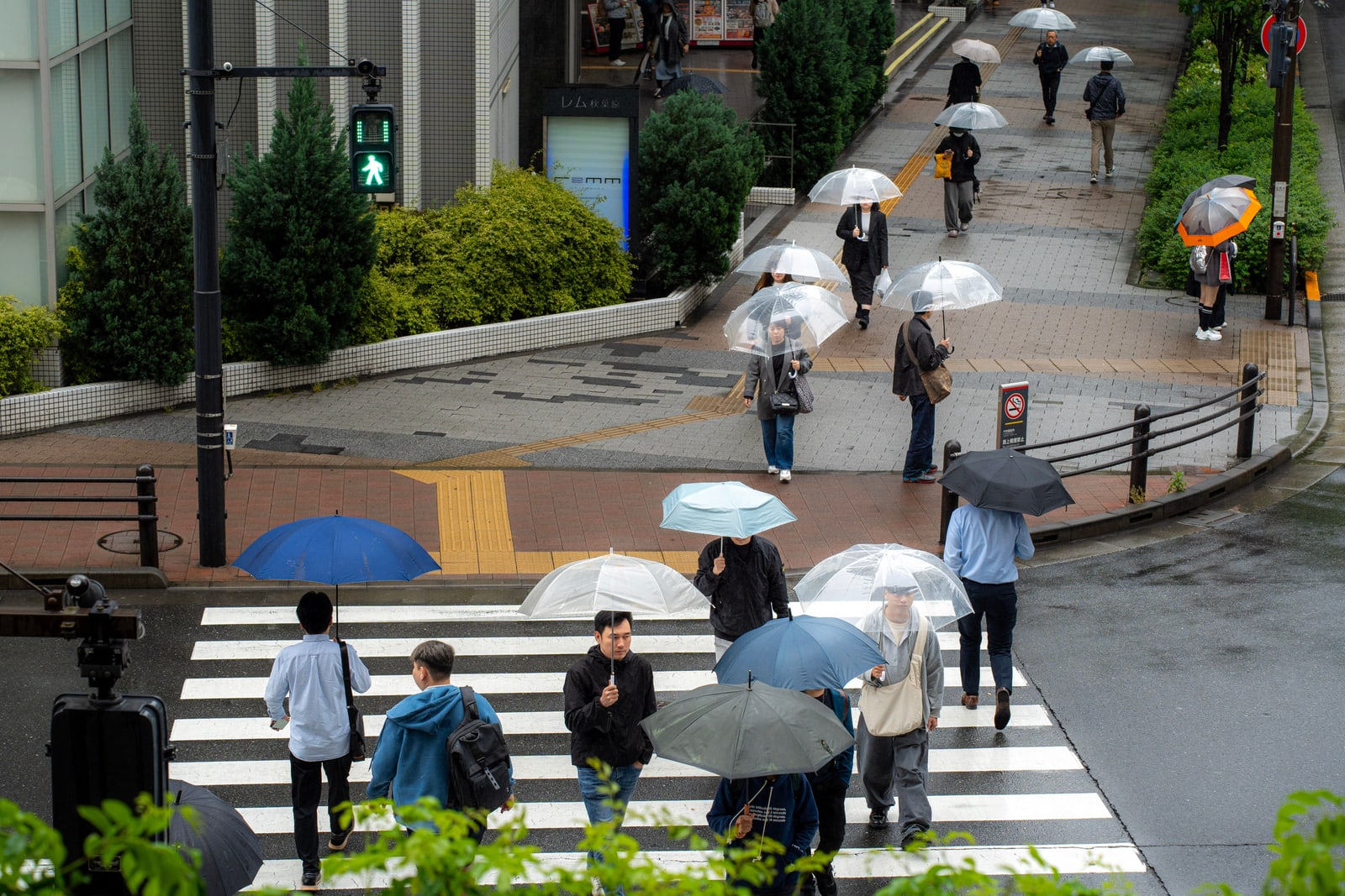 Pedestrians with clear and colored umbrellas crossing a wet street in Tokyo.
