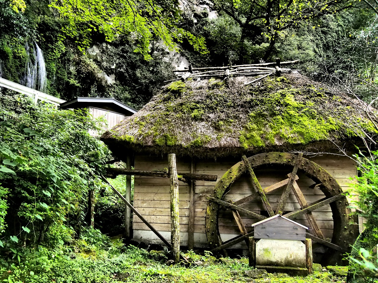 A thatched hut with a moss-covered wooden water wheel among green trees