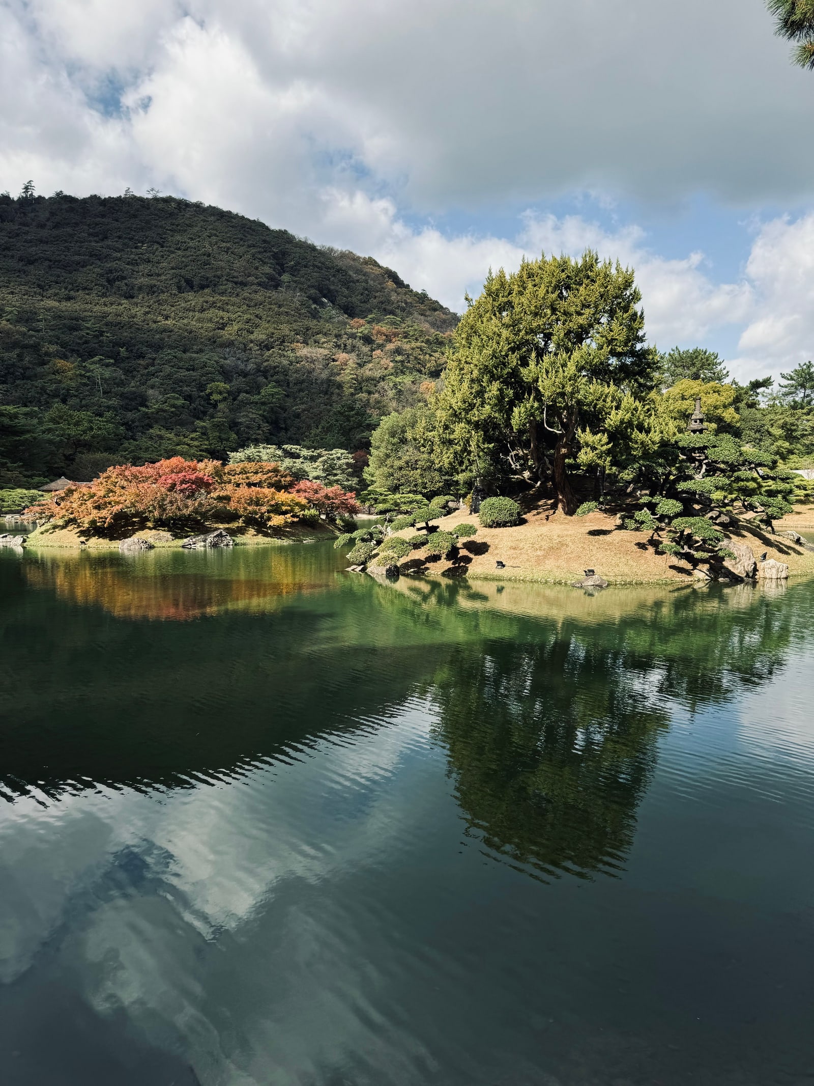 A garden pond in autumn with red maples, pruned pines and a wooded hill reflected in the water