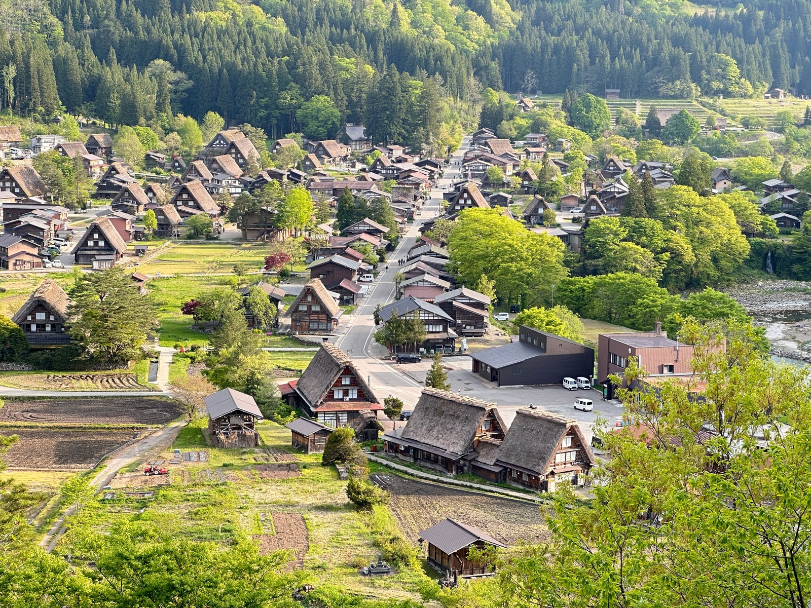 A village of steep thatched farmhouses seen from above, a road running through it, rice fields and a river at the side and forested hills behind