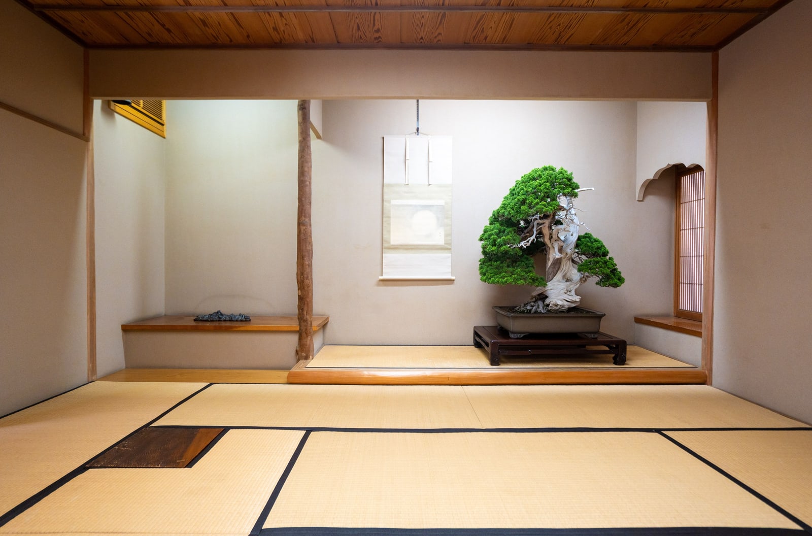An empty traditional Japanese tea room with tatami mats and a tokonoma alcove holding a bonsai and a hanging scroll.