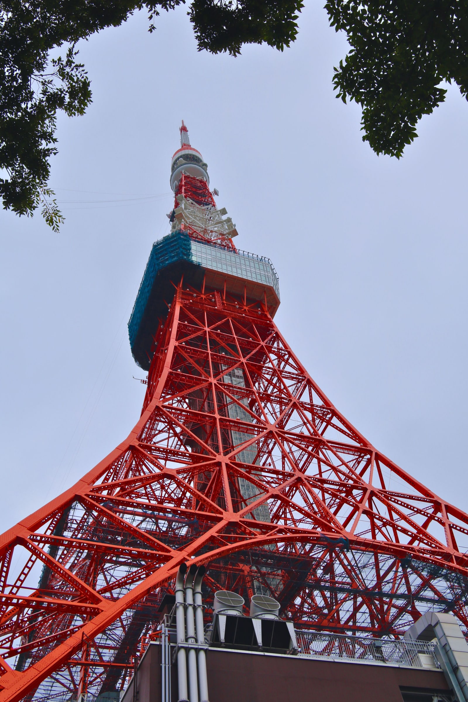 Tokyo Tower's red and white steel frame seen from below, framed by green leaves.