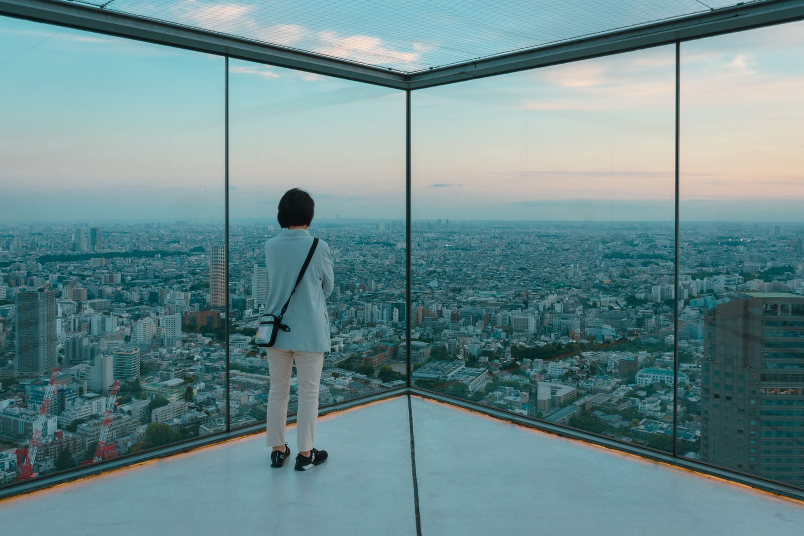 A person seen from behind at the glass corner of an open-air rooftop observation deck at sunset, Tokyo spread out below.