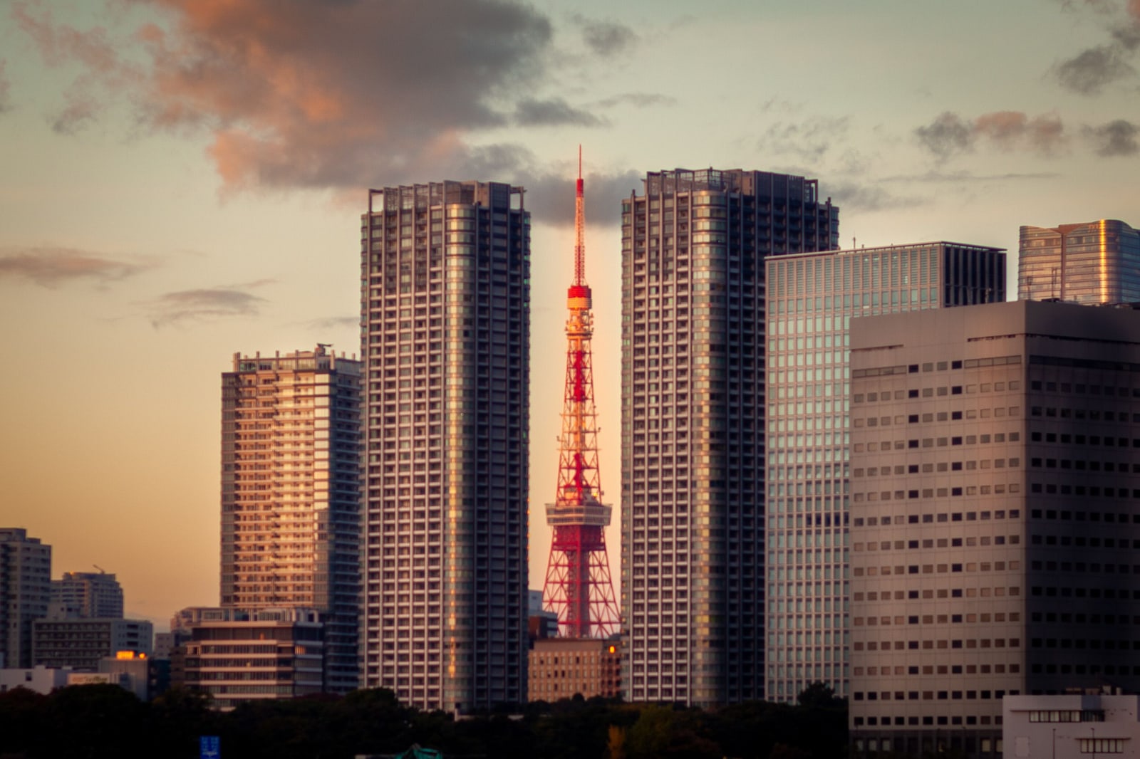 Tokyo Tower rising between high-rise towers at sunset.