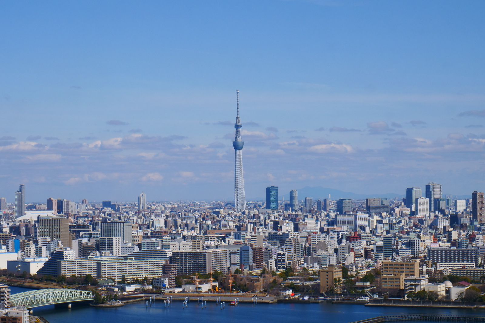 Tokyo seen from high above under a clear sky, Tokyo Skytree standing alone at the center, low-rise city running to the horizon and a river crossing the foreground.