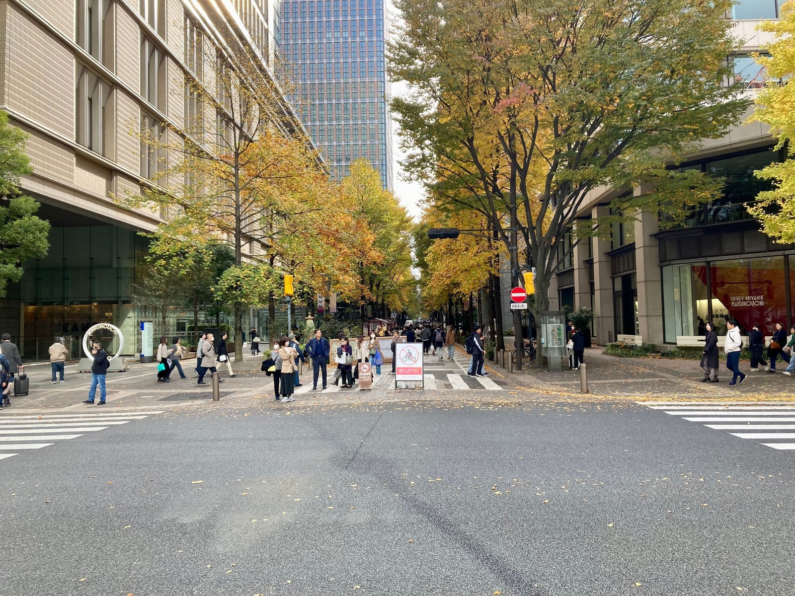 A tree-lined Marunouchi street in autumn colour seen across a crossing, shop fronts on both sides and pedestrians in the middle distance