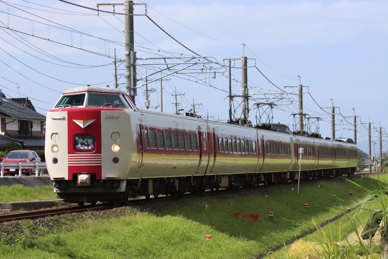 A cream and red limited express train with the headmark Yakumo, running under overhead wires past grass and red flowers