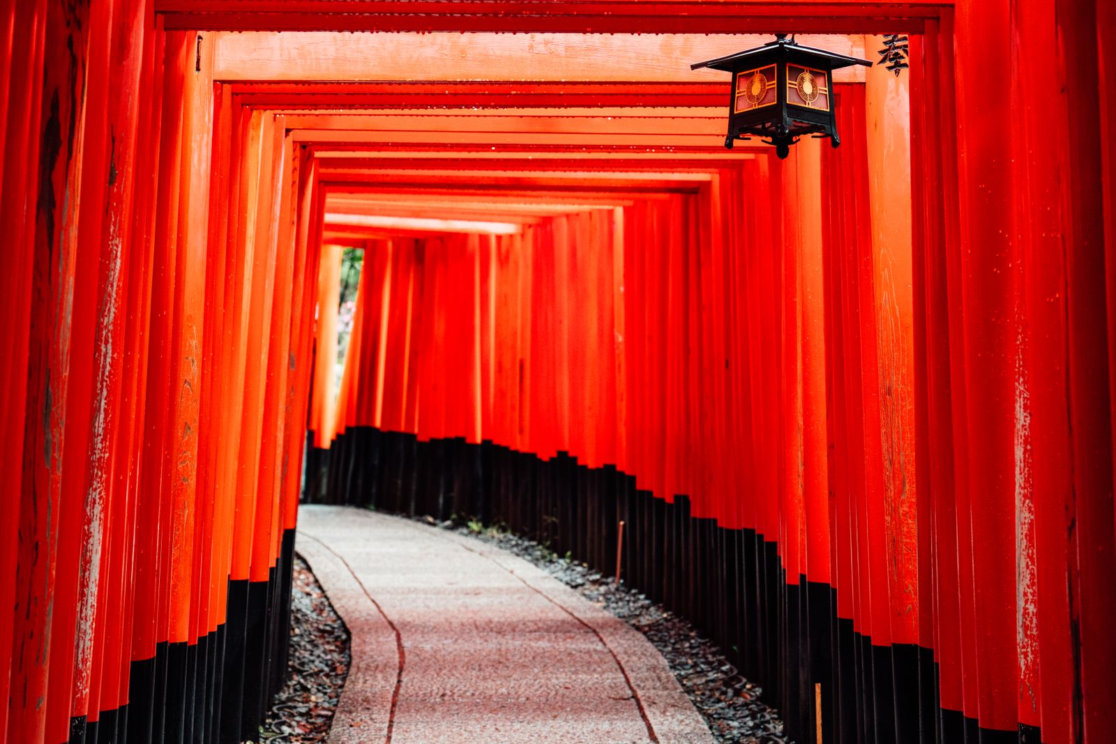 A tunnel of vermilion torii gates on the Fushimi Inari path, an iron lantern hanging overhead and the path curving away empty.