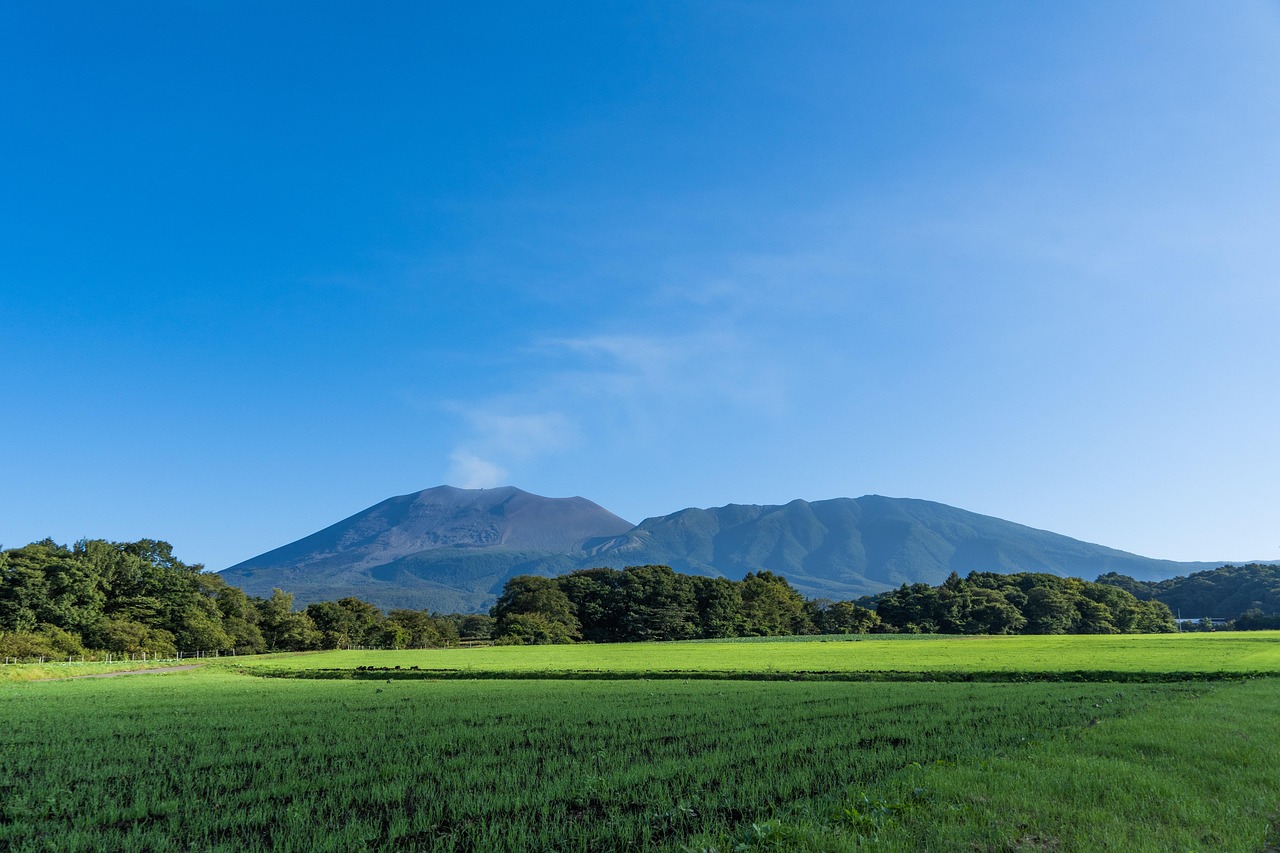 A broad volcano under a clear blue sky beyond green fields and a line of trees, a thin plume at the summit.
