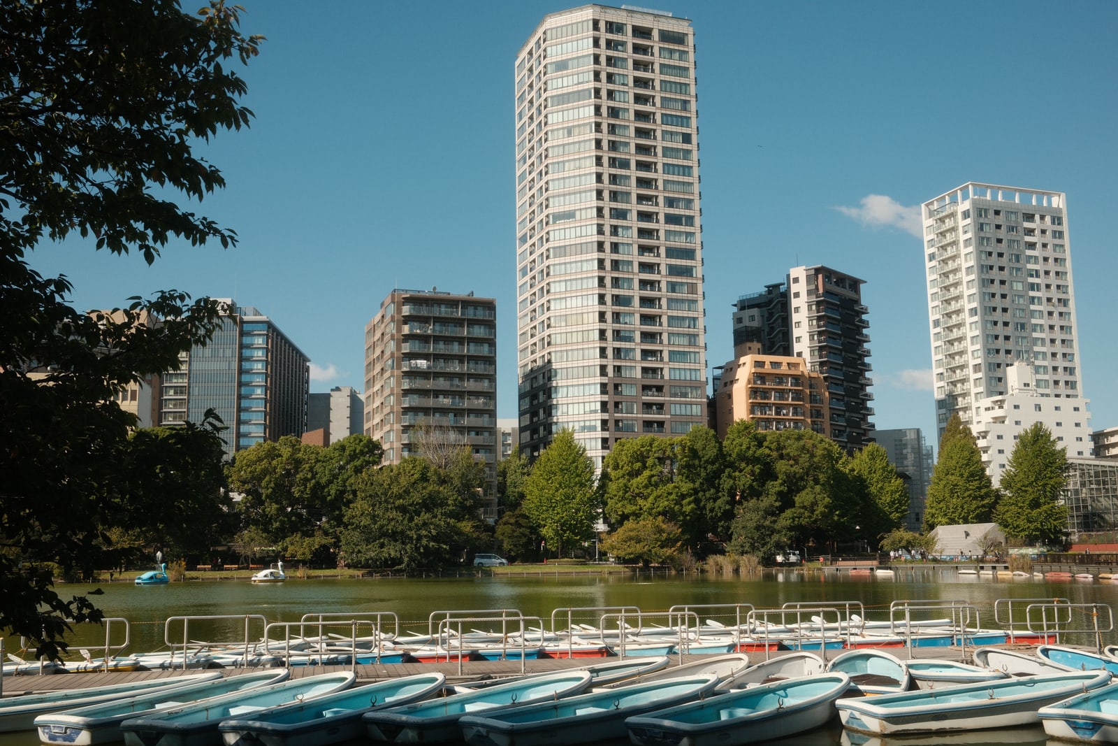 Pale blue rowing boats moored at a wooden landing on Shinobazu Pond, two swan boats out on the water and apartment towers behind