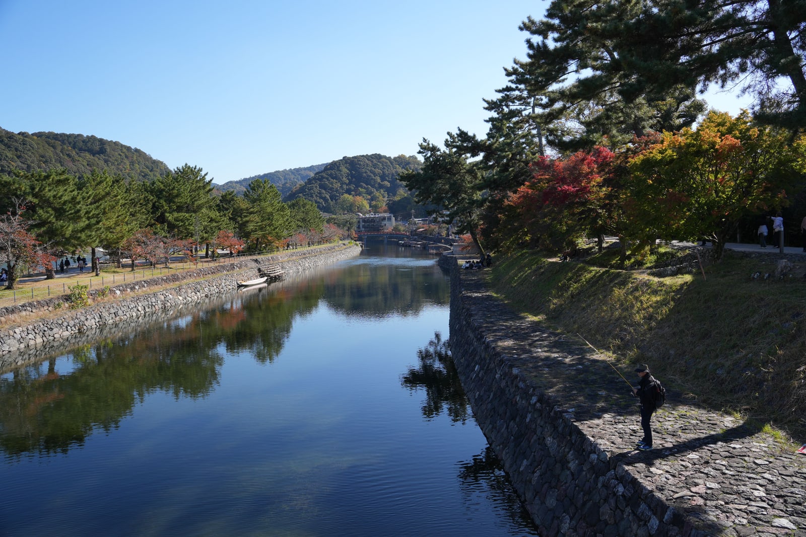 A calm stone-walled river channel in Uji in autumn, pines and red maples on the banks and a small red bridge in the distance