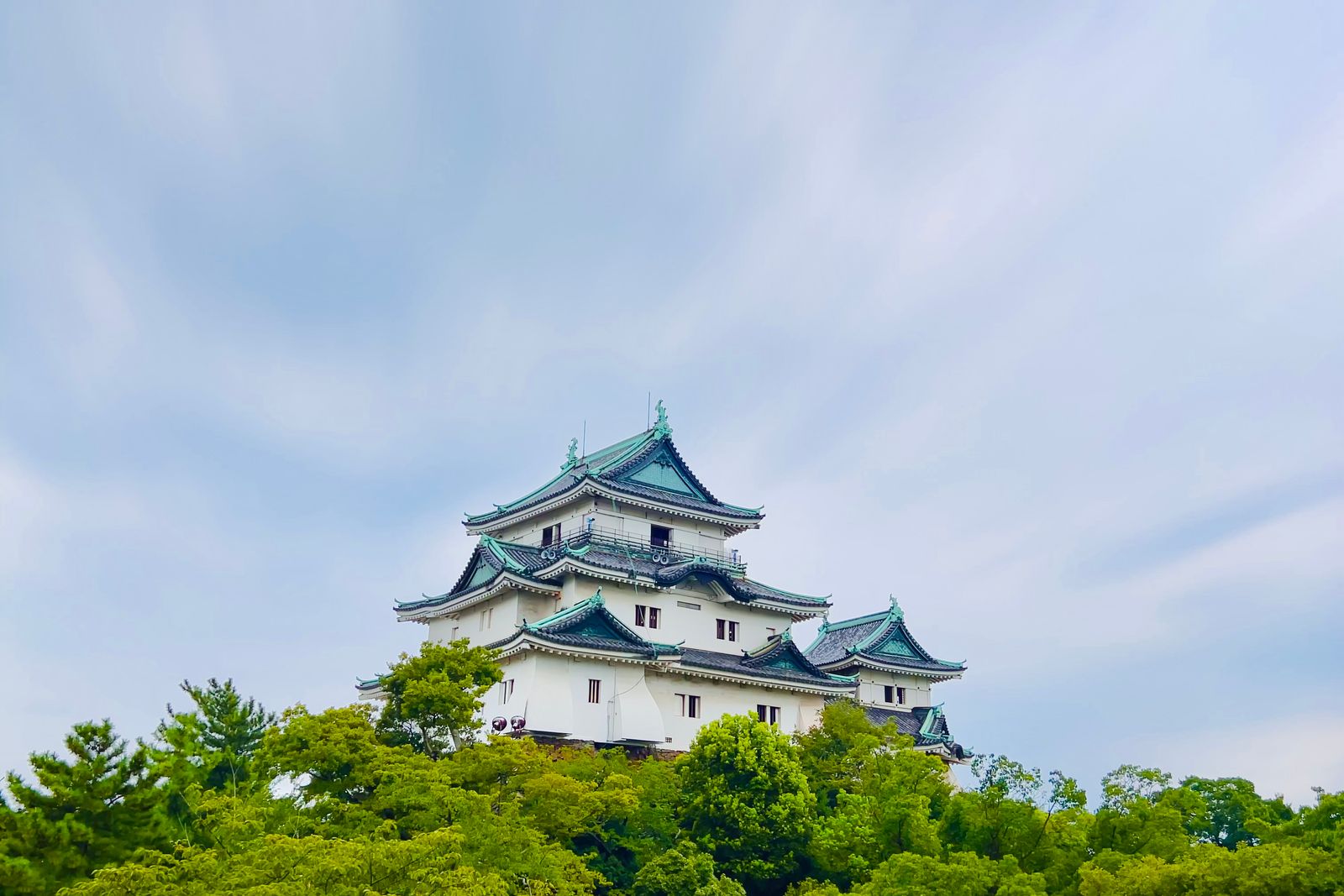The white Wakayama Castle keep with green-copper roof ridges rising above a band of green trees, pale streaked sky