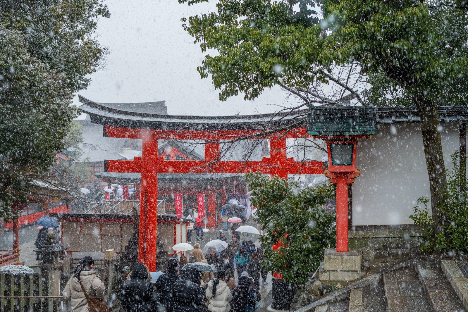 Snow falling on the red torii and lanterns at Fushimi Inari, with visitors under umbrellas on the shrine steps.