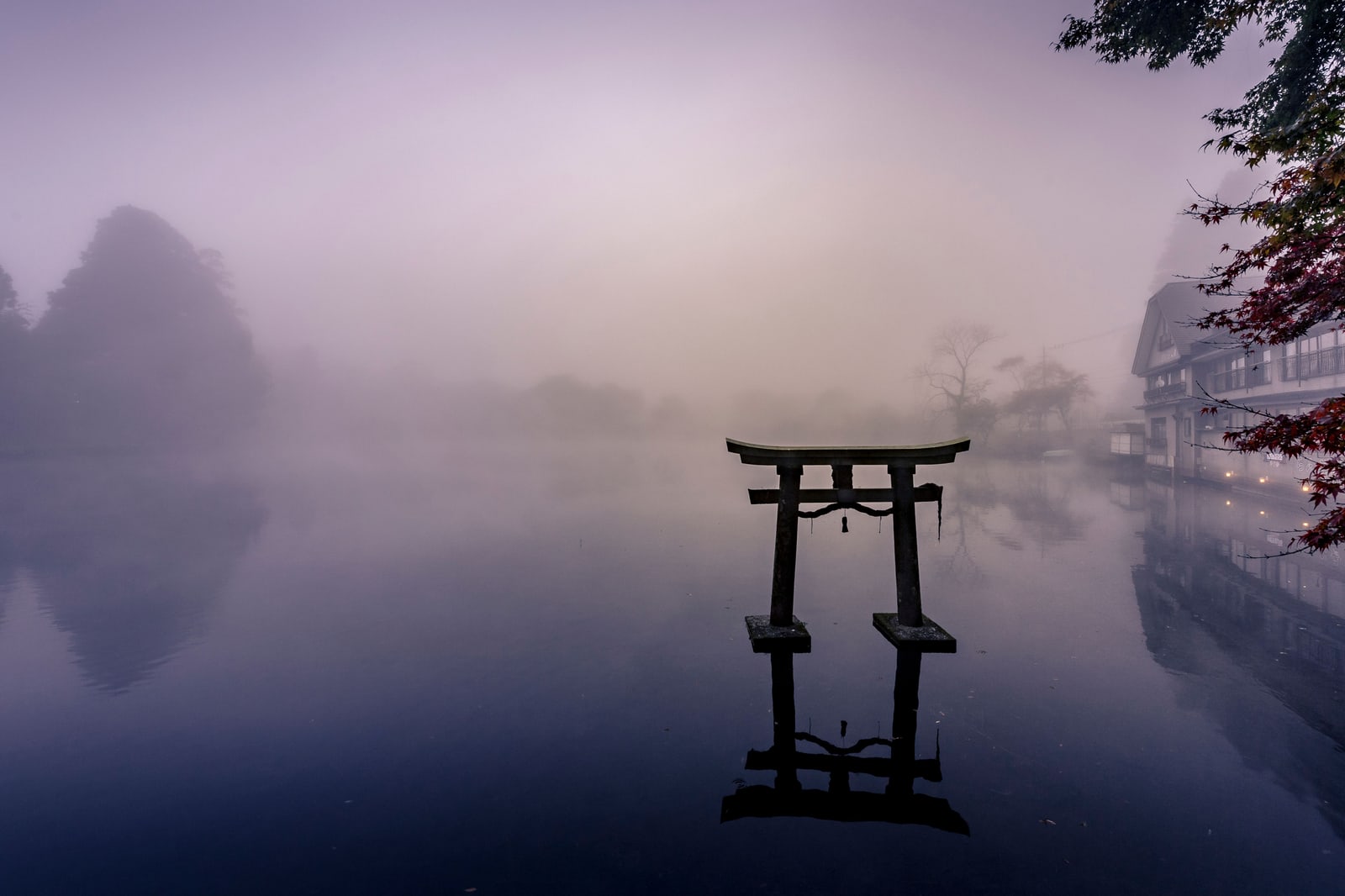 A torii standing in Lake Kinrin in thick morning mist, red maple leaves and a lakeside building at right