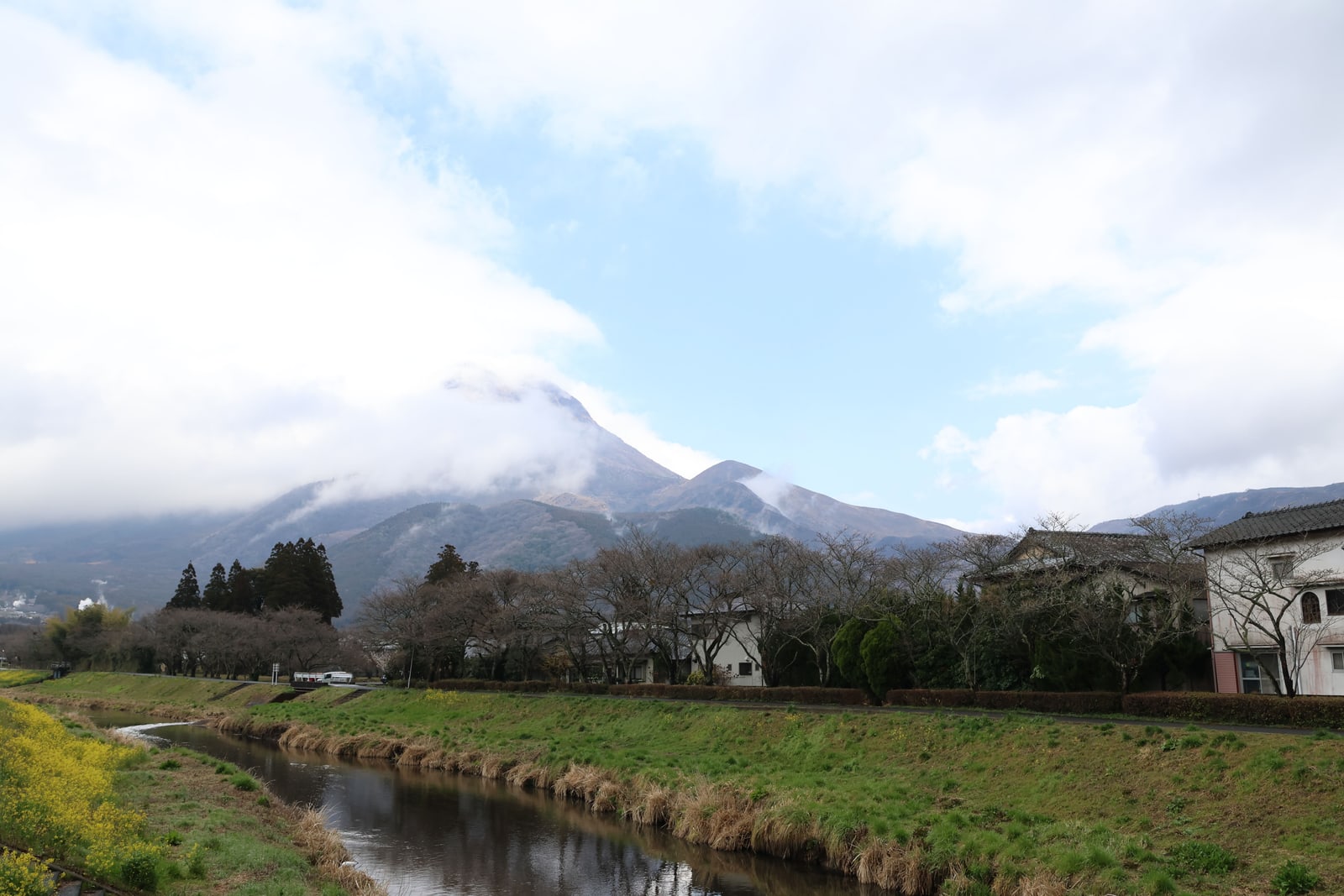 A cloud-capped mountain above a stream lined with bare trees and houses, yellow flowers on the near bank